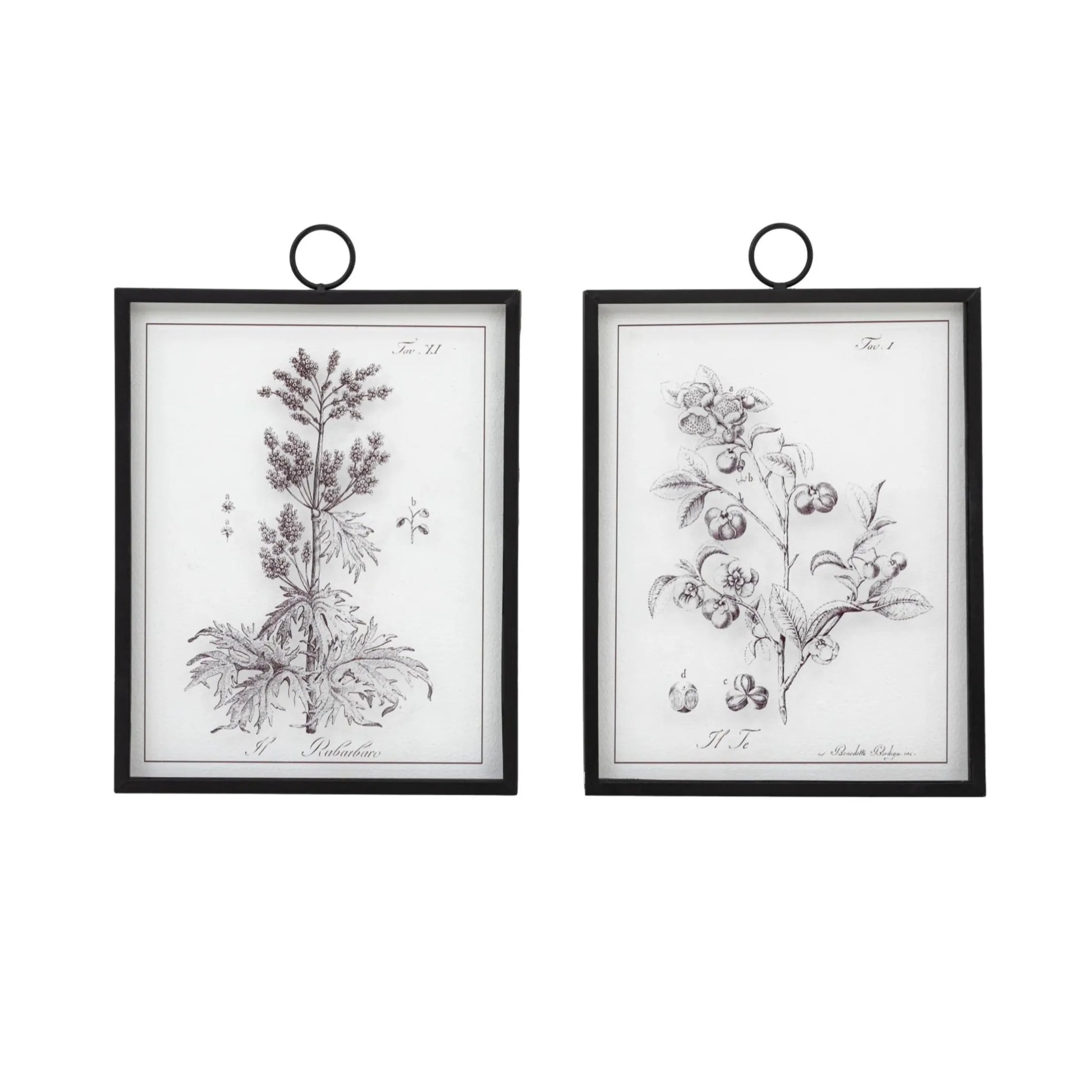 Set of 2 Foliage Prints On Glass | Farthing  1