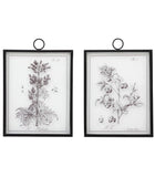 Set of 2 Foliage Prints On Glass | Farthing  1