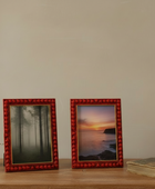 Two framed pictures on a wooden shelf with a plant and book.