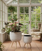 Sunroom with plants and a chair, featuring large windows with a garden view.