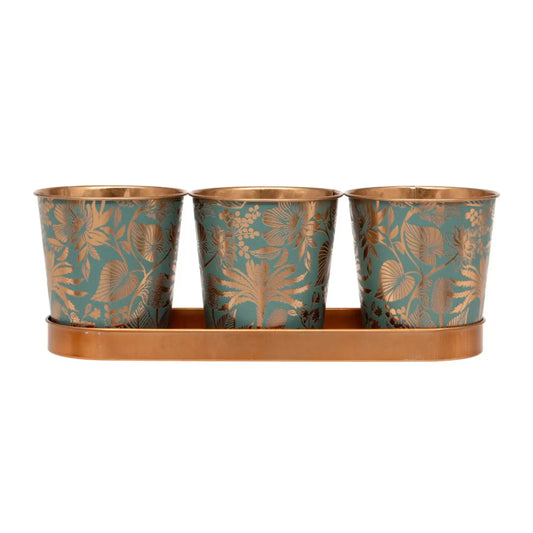 Set of 3 Bronze Leaf Pots with Tray