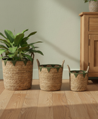 Three woven baskets with plants on a wooden floor next to a wooden cabinet.