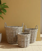 Three wicker baskets of different sizes on a wooden floor with a plant in the background.