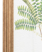 Set of 4 Gold Framed Fern Prints