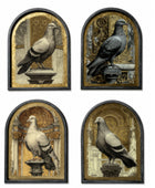 Set of four arched wall art panels featuring different pigeon illustrations in grayscale over a textured gold background, arranged in a 2x2 grid on a white background.