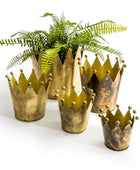 Gold crown-shaped planters with a green fern on a white background