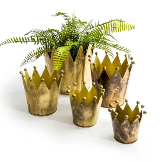 Gold crown-shaped planters with a green fern on a white background