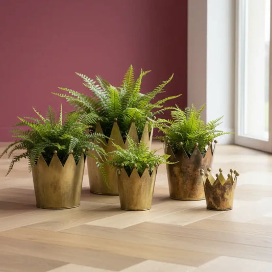 Set of potted fern plants in decorative gold pots on a wooden floor.