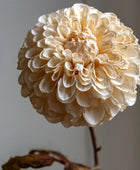 Set of 6 Faux Vintage Ivory Dahlia Stems 1