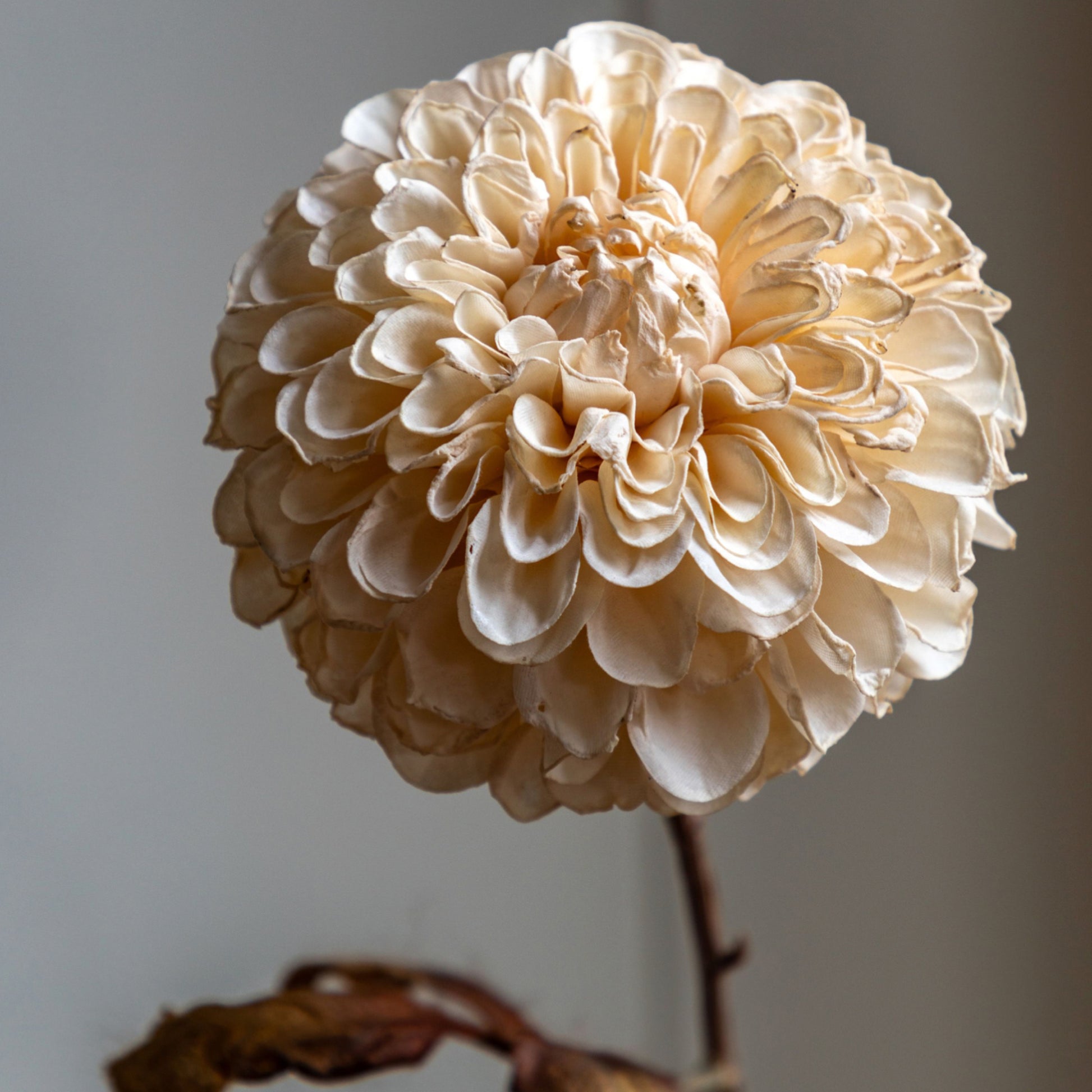 Set of 6 Faux Vintage Ivory Dahlia Stems 1