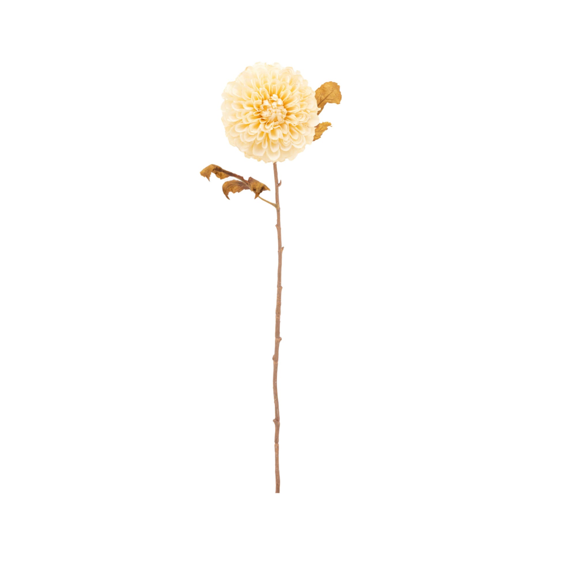 Set of 6 Faux Vintage Ivory Dahlia Stems