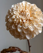 Set of 6 Faux Vintage Ivory Dahlia Stems 1