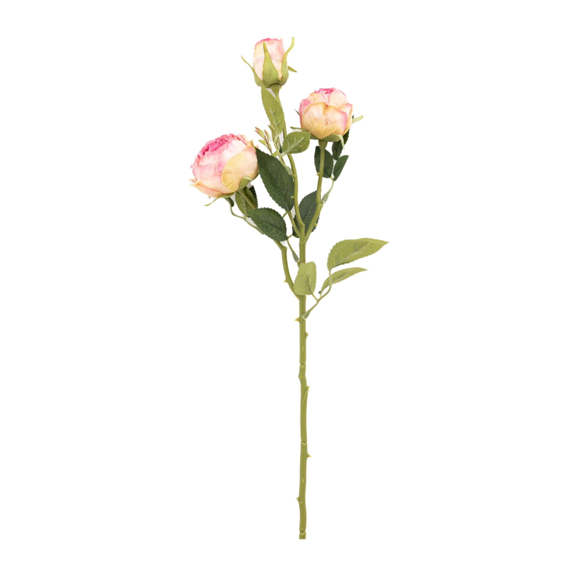 Set of 6 Faux Vintage Pink Rose Stems 1