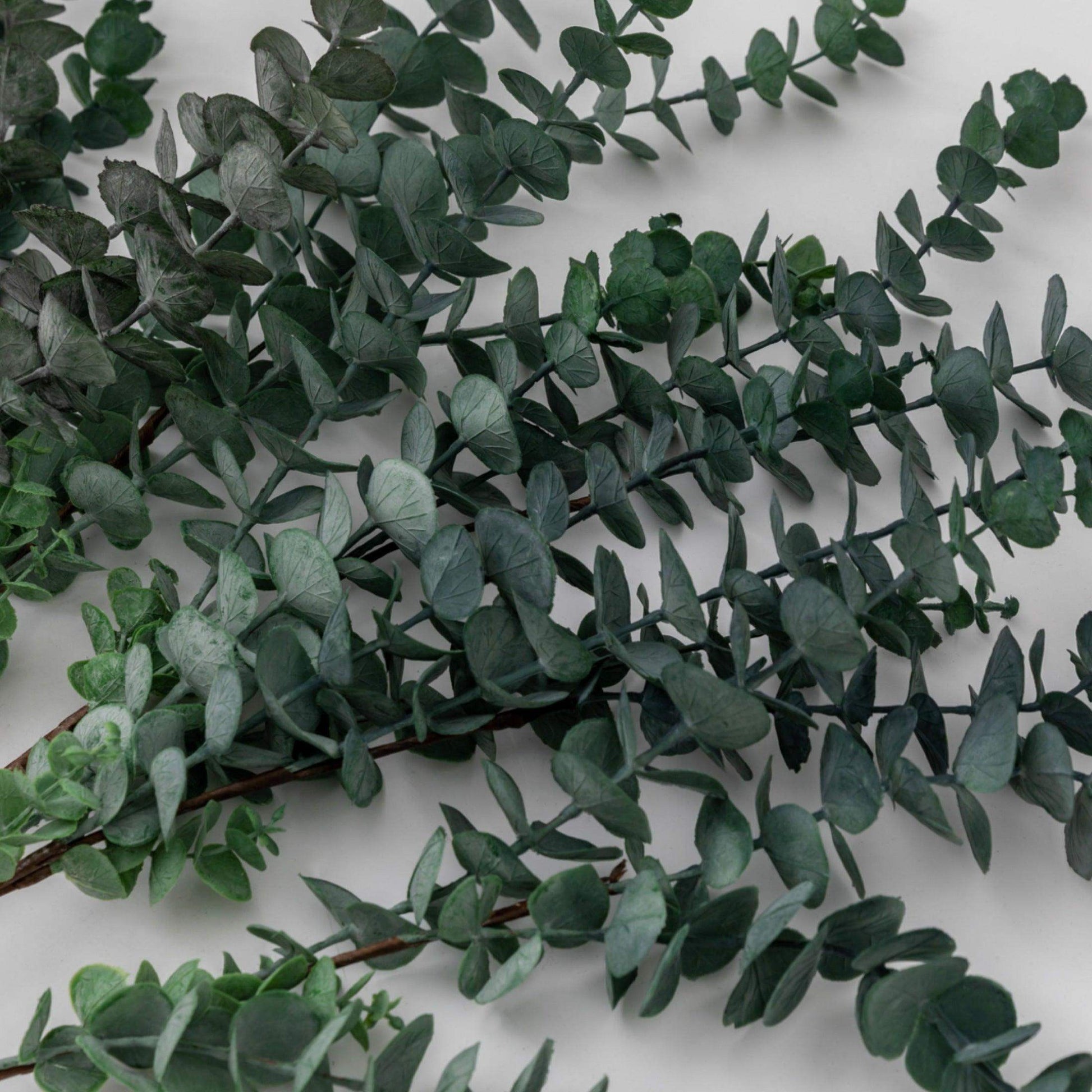 Set of Six Faux Green Eucalyptus Stems - The Farthing