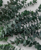 Set of Six Faux Green Eucalyptus Stems - The Farthing