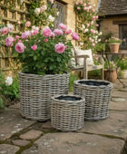 Set of Three Rattan Plant Pots with Liner