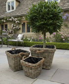 Decorative topiary tree in wicker baskets on a stone patio with a garden and house in the background.