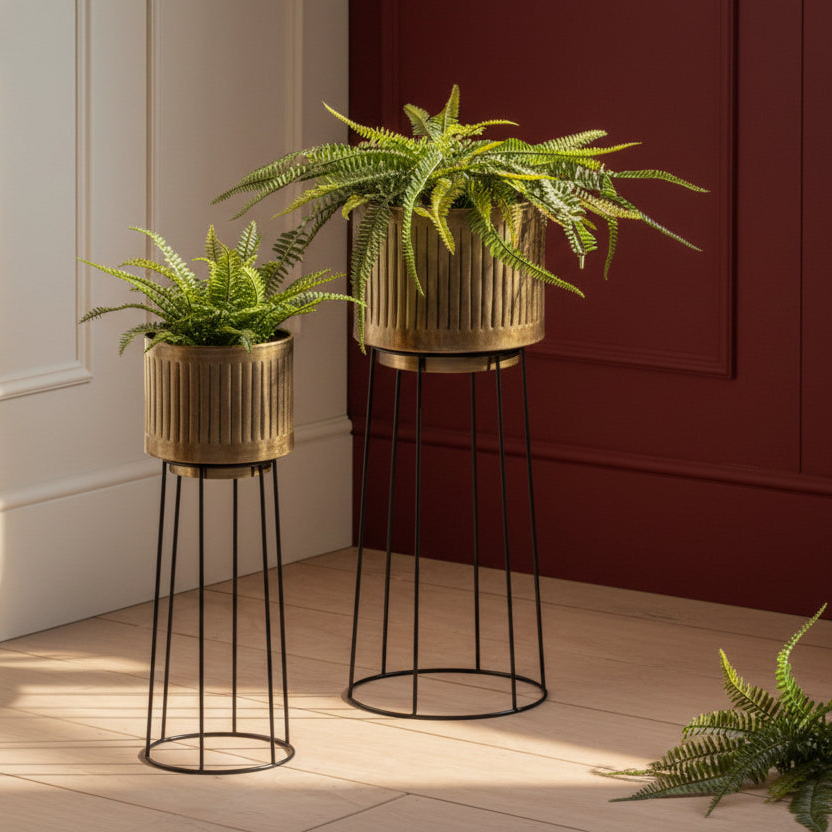 Two potted ferns on decorative stands against a red wall.