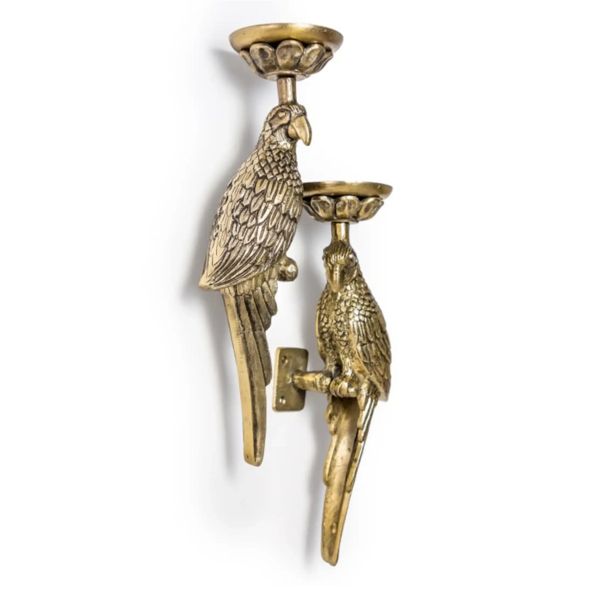 Brass wall-mounted candle holder with parrot design on a white background