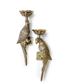 Pair of brass parrot-shaped wall candle holders on a white background