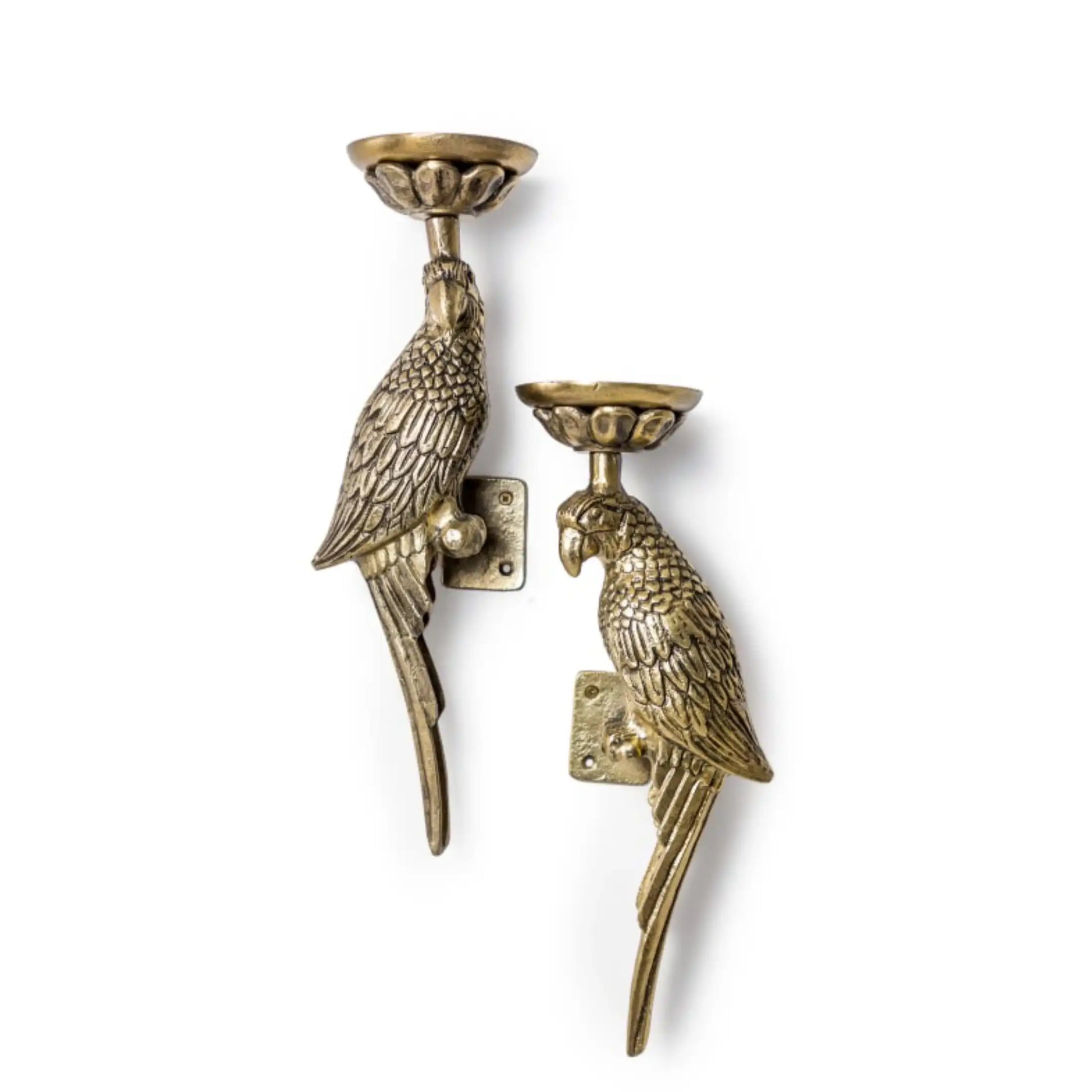 Pair of brass parrot-shaped wall candle holders on a white background
