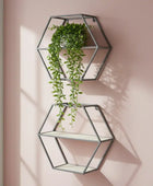 Geometric wall shelves with plants against a pink wall
