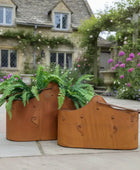 Set of Two Rustic Metal Bucket Planters
