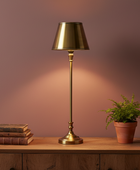 Brass lamp and books on a wooden surface with a plant, against a warm pinkish-brown wall.