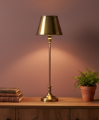 Gold table lamp on a wooden surface with books and a plant against a pinkish-brown background