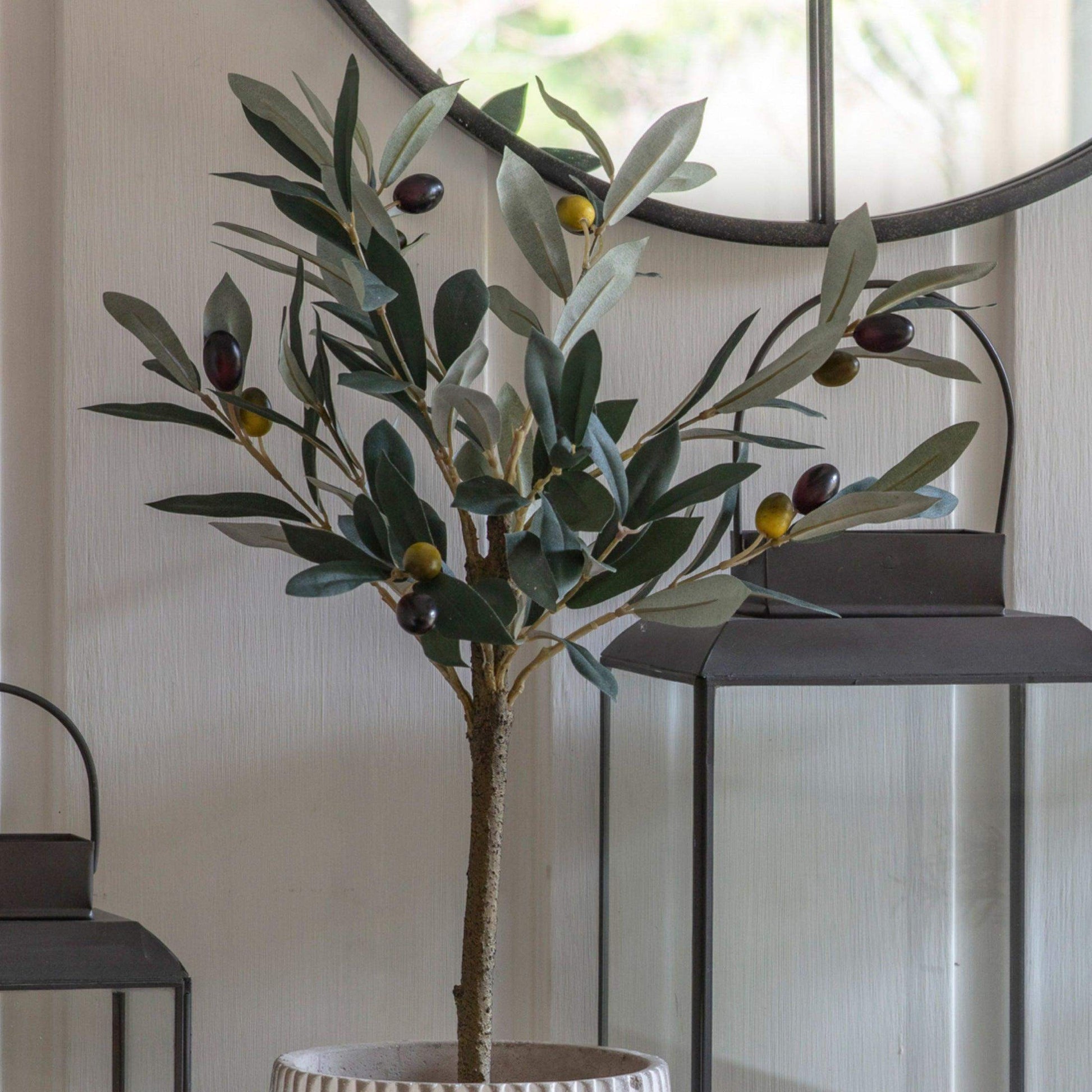 Small Faux Potted Olive Tree - The Farthing