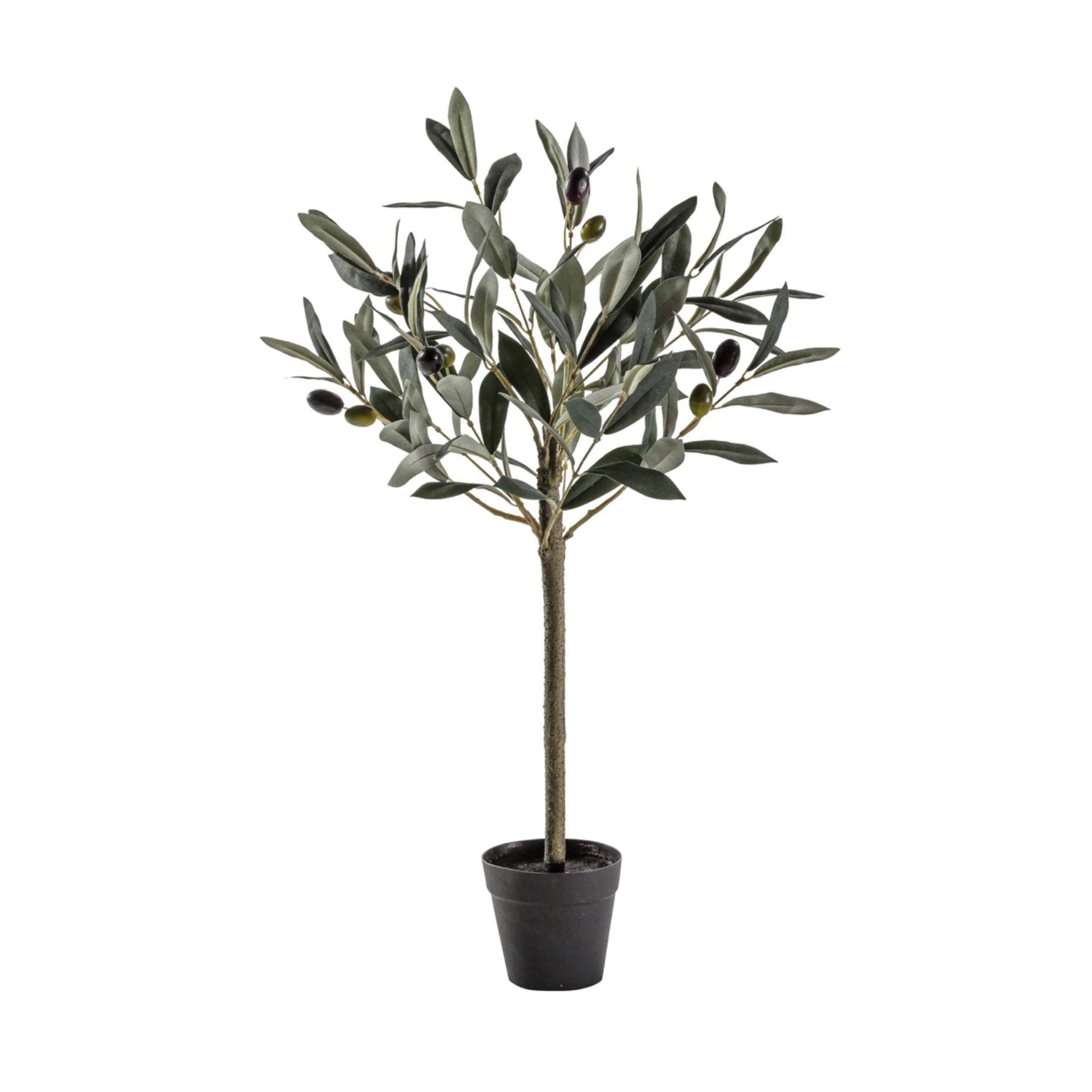 Small Faux Potted Olive Tree - The Farthing