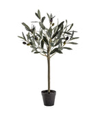 Small Faux Potted Olive Tree - The Farthing