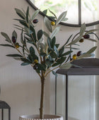 Small Faux Potted Olive Tree - The Farthing