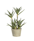 Spiky Tall Faux Aloe Succulent In Grey Pot - The Farthing