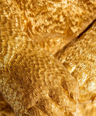 Close-up of a textured gold surface