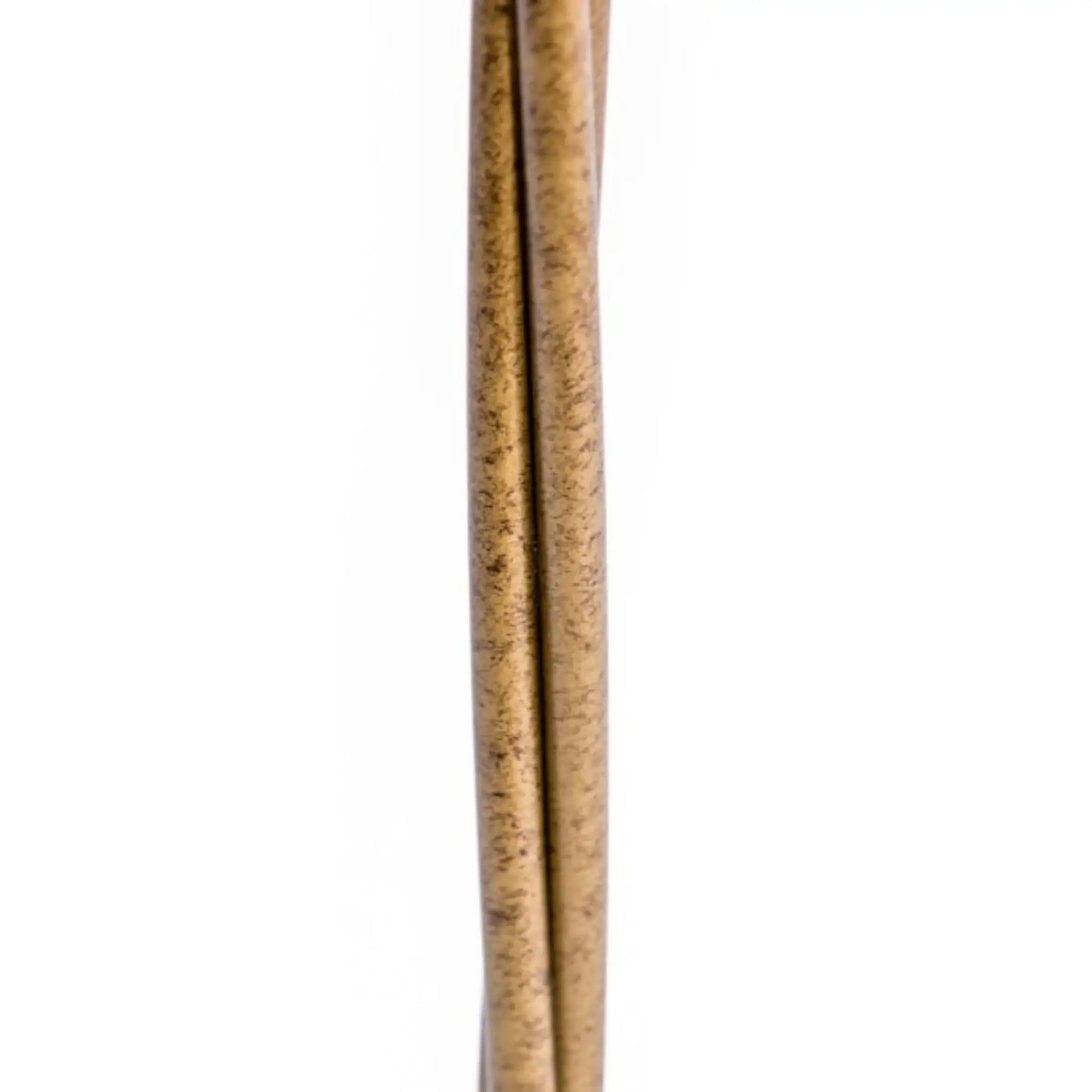 Close-up of a textured brown cylindrical object on a white background