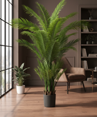 Large potted plant in a modern living room with wooden floor and bookshelf.