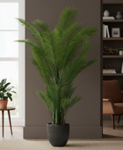 Potted plant in a room with a window and bookshelf