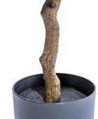 Tall Artificial Potted Lemon Tree 120cm 5
