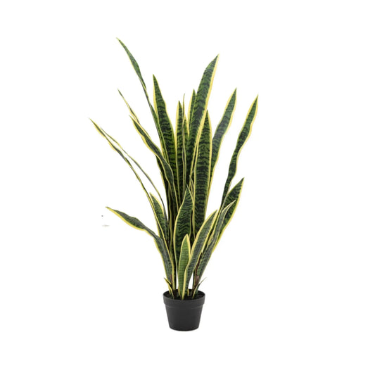 Tall Artificial Sansevieria Plant at the Farthing 