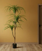 Tall green plant next to a black cabinet against a beige wall.