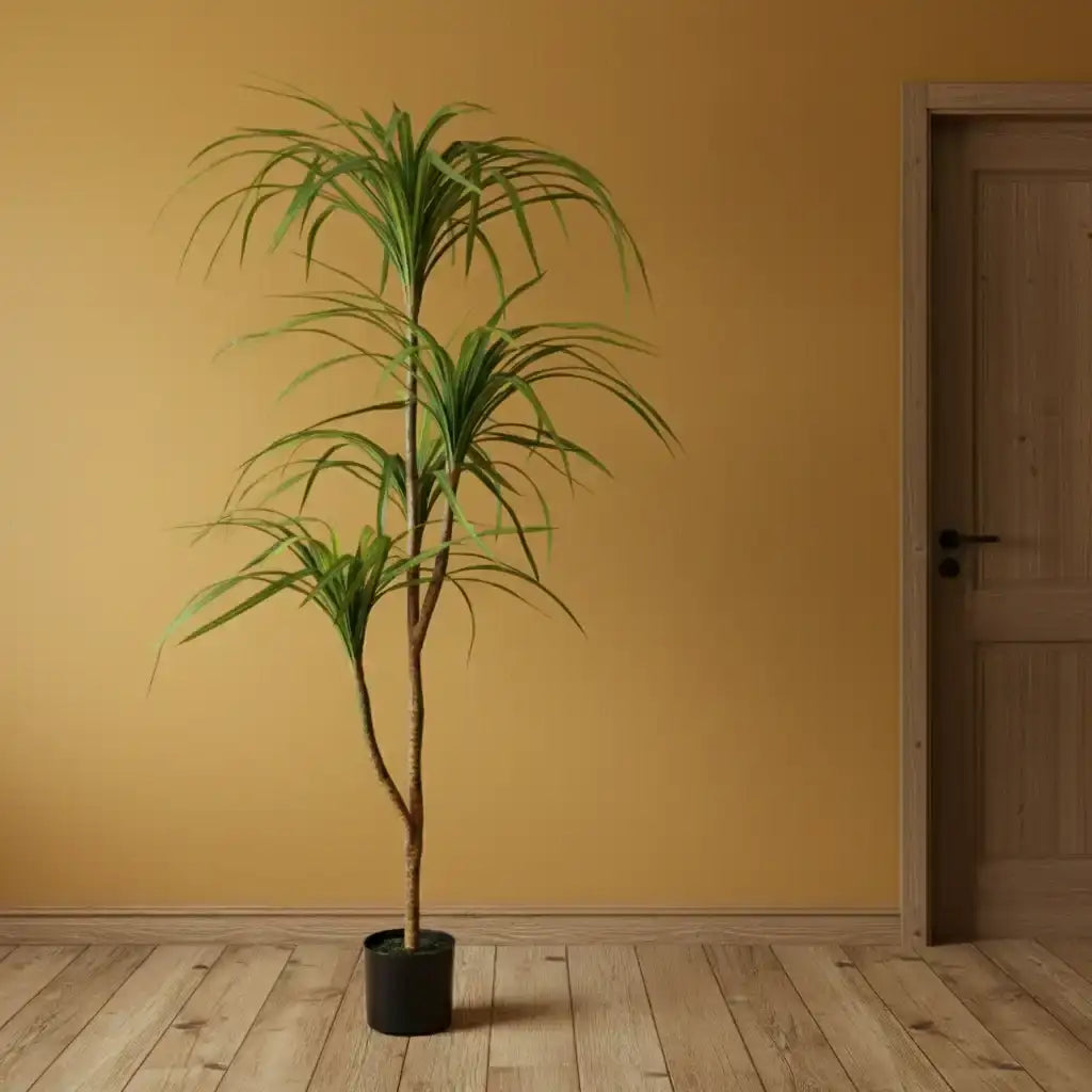 Tall green plant next to a black cabinet against a beige wall.