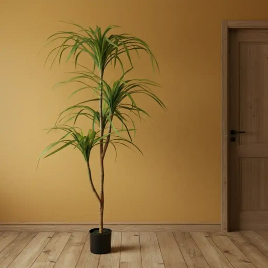 Tall green plant next to a black cabinet against a beige wall.