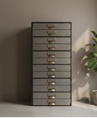 Tall gray dresser with gold handles in a room with a plant and window.