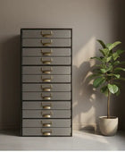 Tall dark gray drawer unit with gold handles next to a potted plant against a neutral wall.