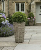 Tall wicker planter with a green bush in front of a stone building with a door and windows.