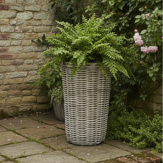 tall rattan planter 