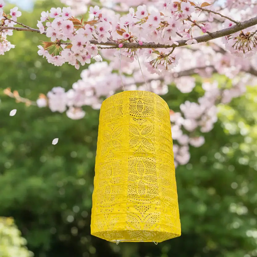Yellow lace lantern hanging in front of cherry blossom branches