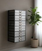 Tall mirrored drawer unit against a wall with a plant next to it.