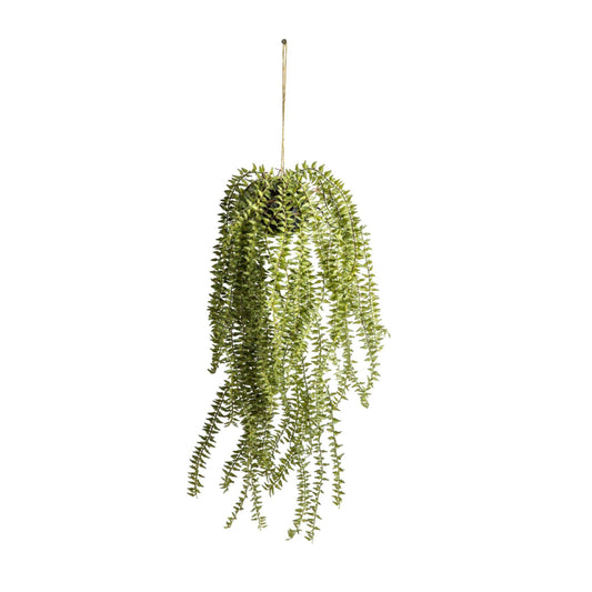 Trailing Artificial Potted Hanging Cactus Horsetail Plant - The Farthing